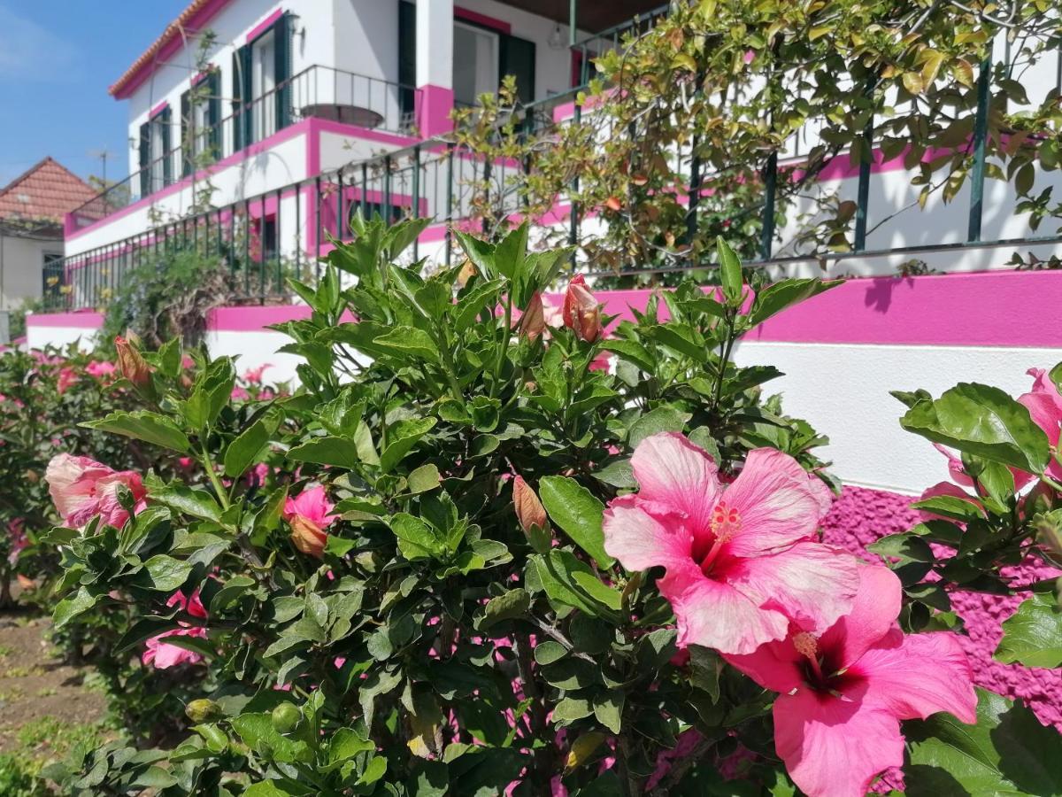 Westerland House Ribeira Brava Eksteriør bilde