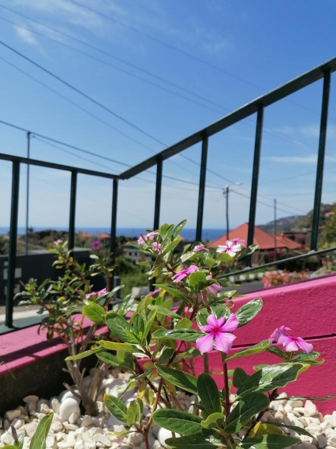 Westerland House Ribeira Brava Eksteriør bilde